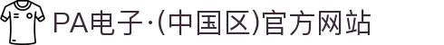 PA电子·(中国区)官方网站